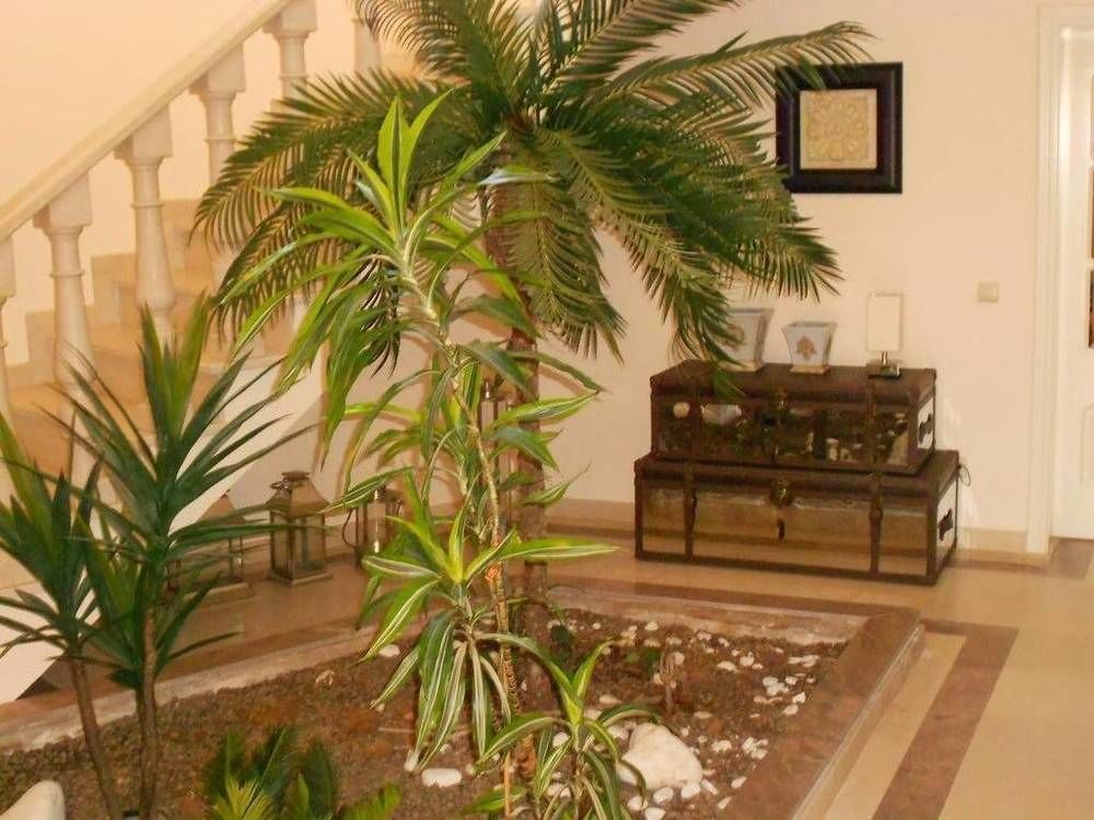 Suites & Beds Dp Албуфейра Екстериор снимка
